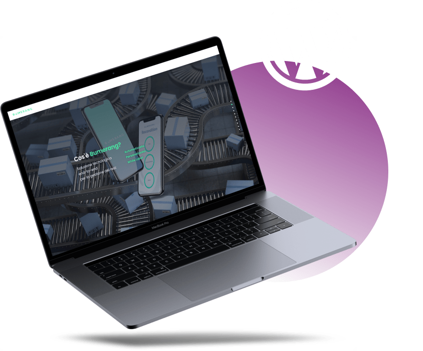 Wordpress websites