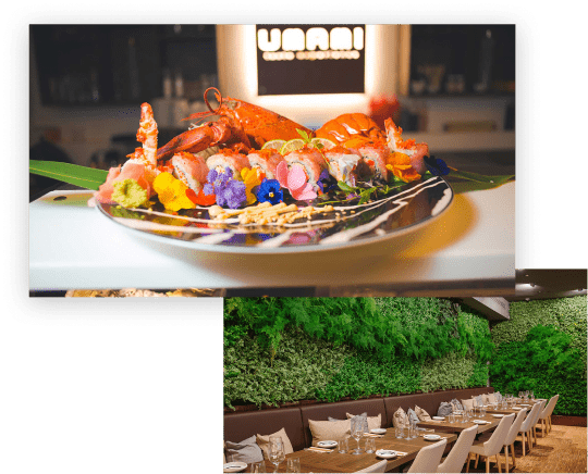 Purplesoft Srl - #1 Developer App for restaurants and sushi clubs 2 Purplesoft Srl - #1 Developer App for restaurants and sushi clubs