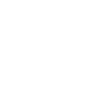 PurpleSoft S.r.l - #1 Software House e Web Agency in Brianza 10 Angular