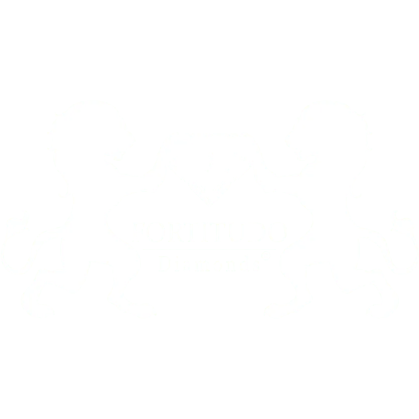 PurpleSoft S.r.l - #1 Software House a Monza, Milano e Lugano 40 fortitudo diamonds