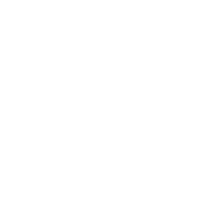 PurpleSoft S.r.l - #1 Software House e Web Agency in Brianza 2 JAVASCRIPT