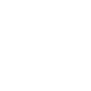 PurpleSoft S.r.l - #1 Software House e Web Agency in Brianza 7 ASP.Net Core