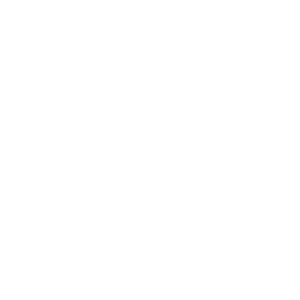 PurpleSoft S.r.l - #1 Software House e Web Agency in Brianza 3 TYPESCRIPT