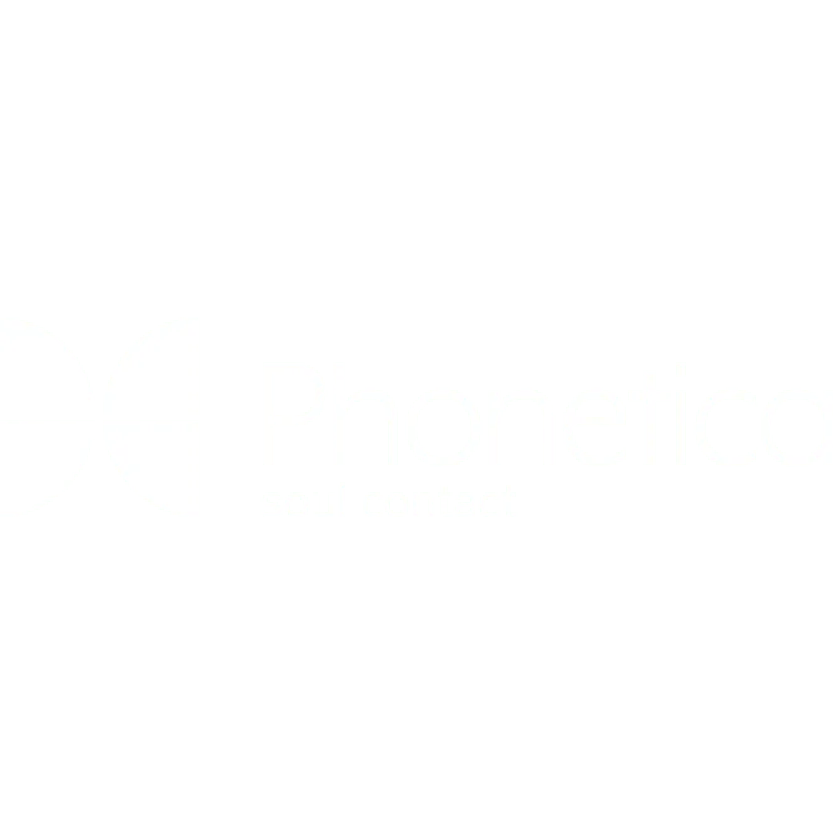 PurpleSoft S.r.l - #1 Software House a Monza, Milano e Lugano 51 phonetica
